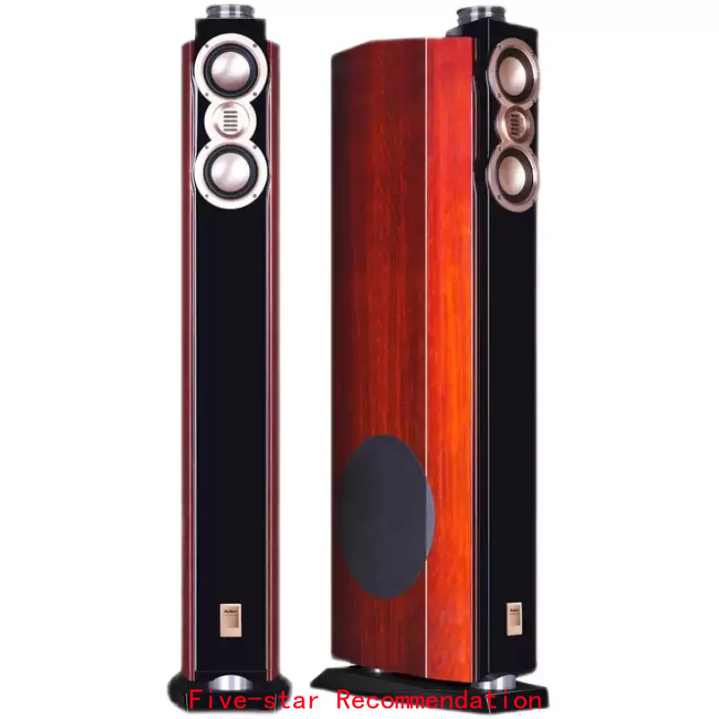 Home Cinema High End - ลำโพงตั้งพื้น DX-2 ระดับไฮเอนด์, ลำโพงไฮไฟเบสหนัก 10 นิ้ว