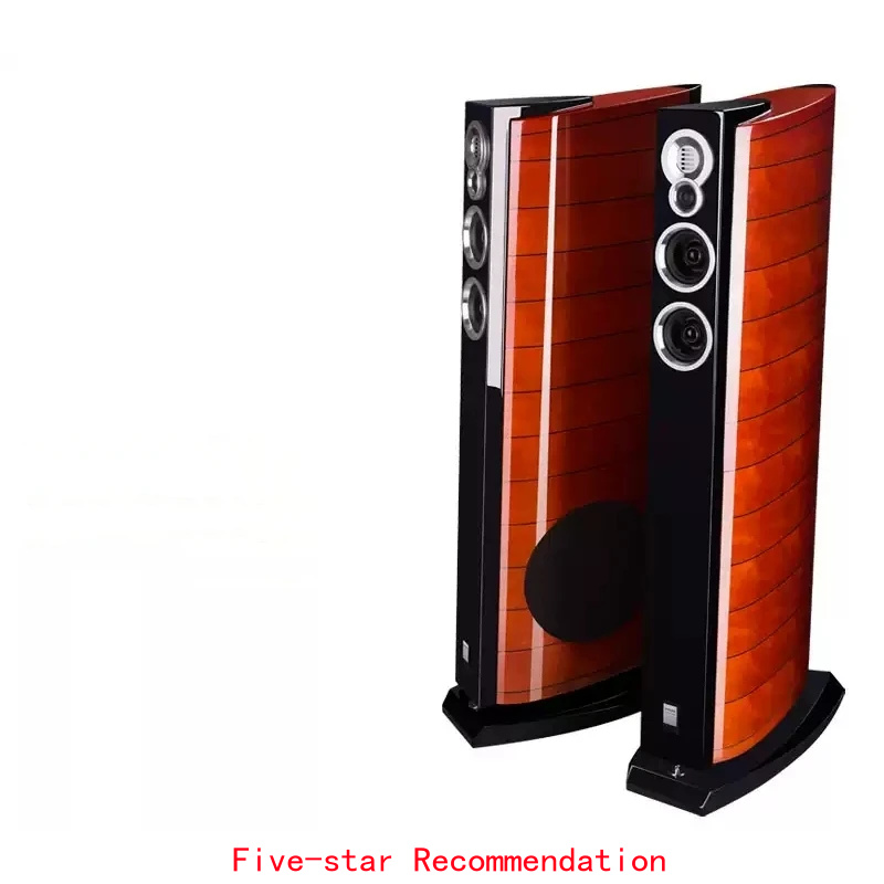 Home Cinema High End - ลำโพงตั้งพื้น DX-5 ขนาด 10 นิ้ว, ลำโพงไฮไฟแบบพาสซีฟ,