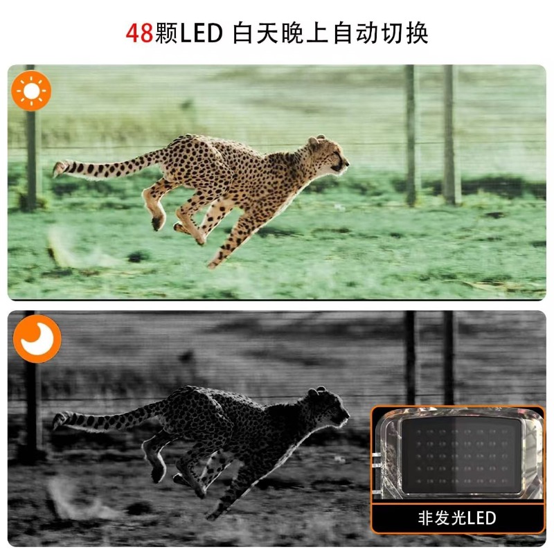 กล้องล่าสัตว์ DL001 ลดราคาพิเศ - Home Cinema Hd บทวิจารณ์และราคา