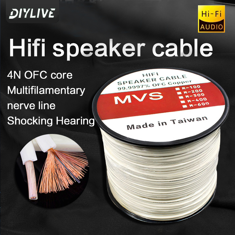 สายลำโพง DIYLIVE HiFi สำหรับโฮ - Home Cinema Xlr บทวิจารณ์และราคา