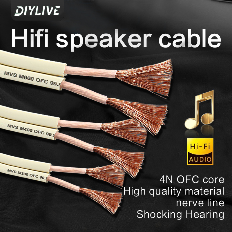 สายลำโพง DIYLIVE HiFi สำหรับโฮ - Home Cinema Xlr บทวิจารณ์และราคา