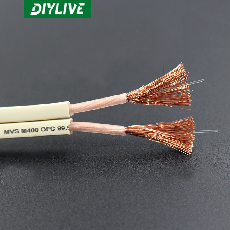 สายลำโพง DIYLIVE HiFi สำหรับโฮ - Home Cinema Xlr บทวิจารณ์และราคา