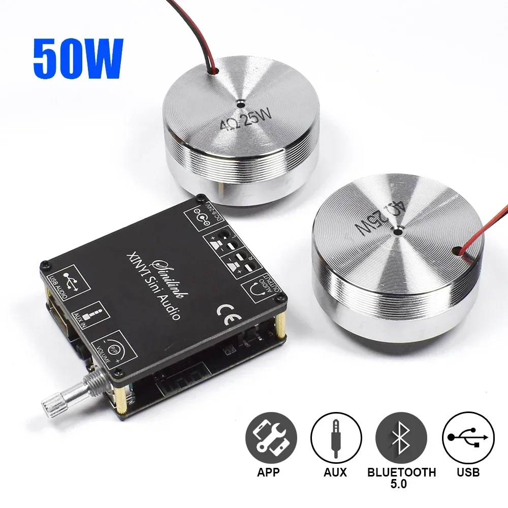 2*25W แบบพกพาสเตอริโอการสั่นสะ - Home Cinema Ampli บทวิจารณ์และราคา